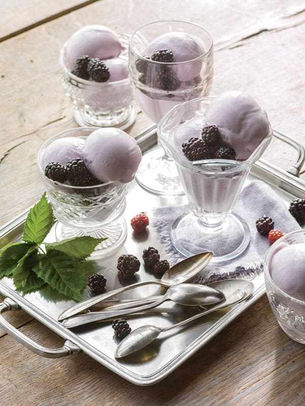 Blackberry Gelato Recipe 2487501 Black 029 600x800