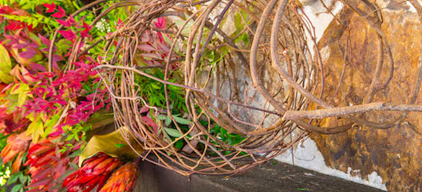 150429 PDSINandina03101 1