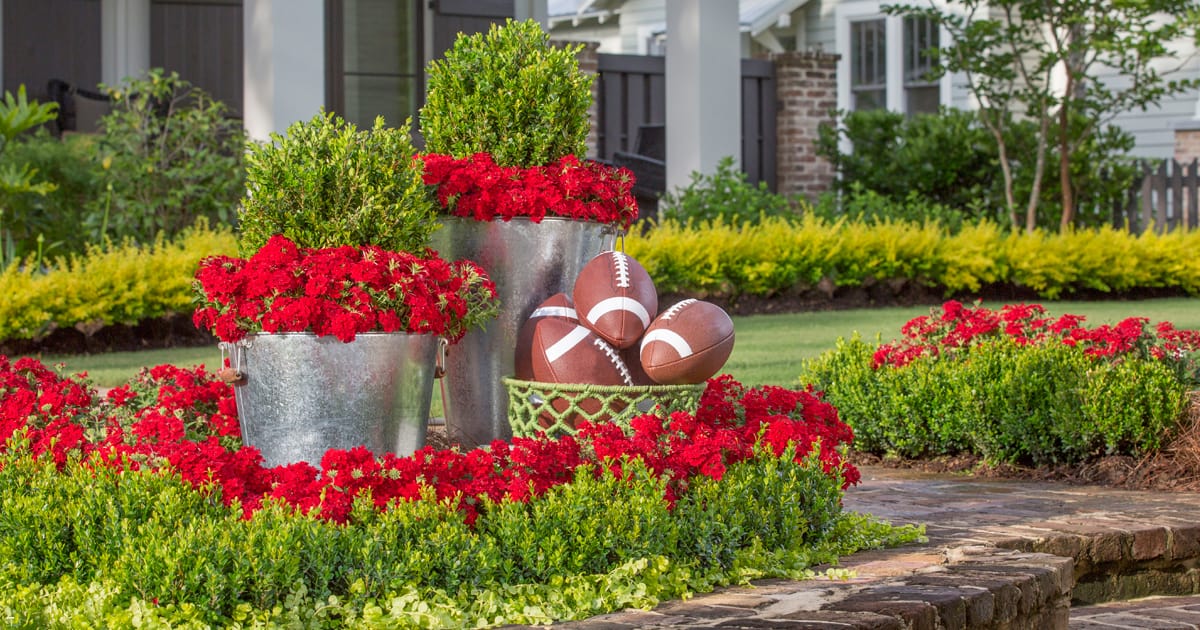 3 varying sized galvanized planters in a raised bricked walled garden bed container Boxwood and red Verbena and footballs