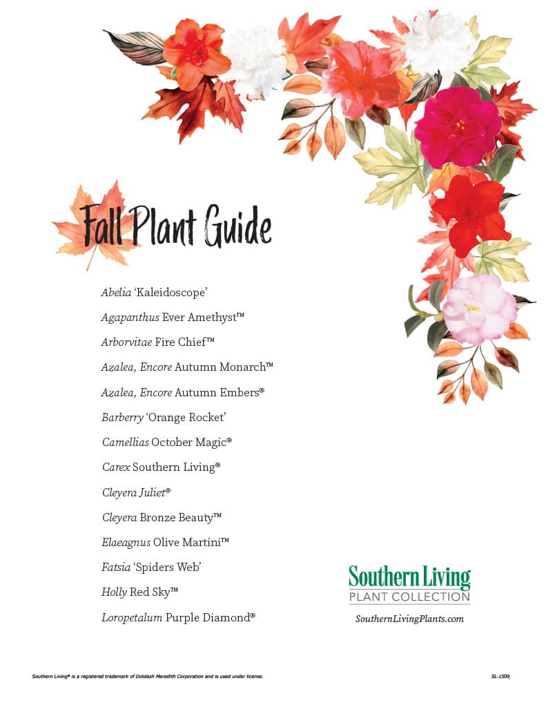 Fall plant guide