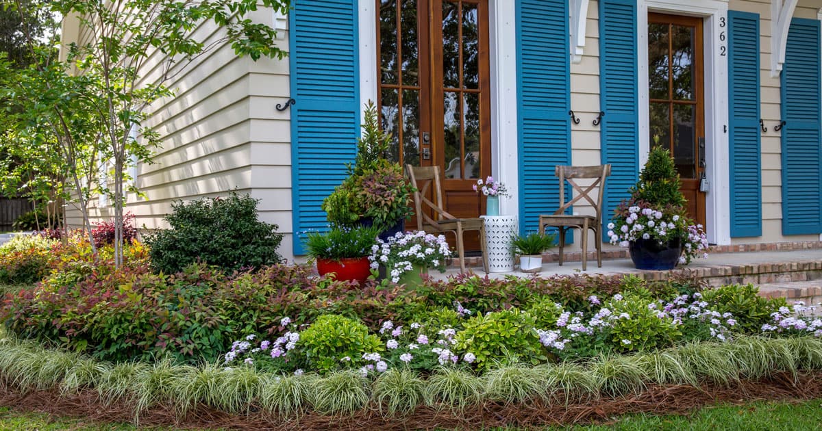A Southern home facade features extra tall windows & bright blue shutters facing a patio garden full of Southern Living plants