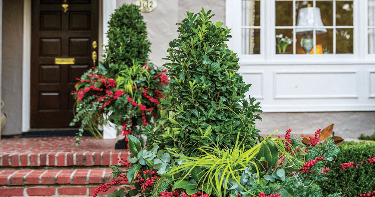 A front porch with potted plants in front of a house.