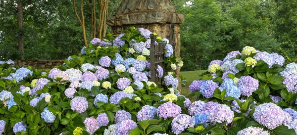 20130619 PDSIColumbus1215