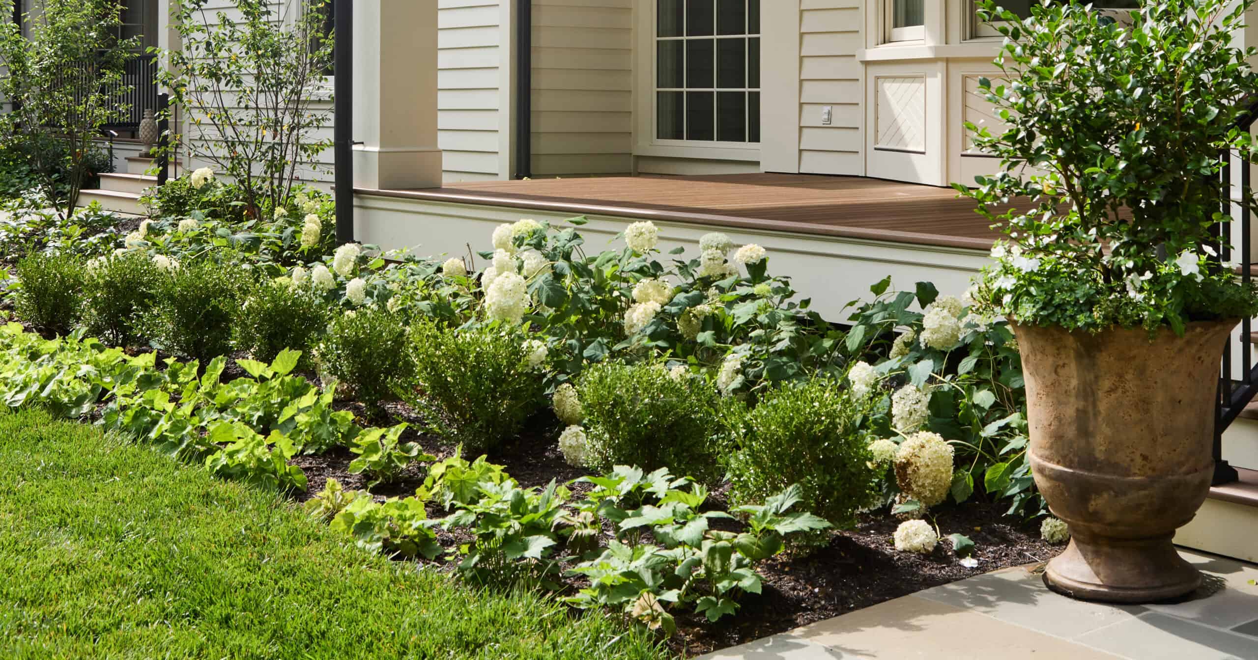 Front entry garden bed with layered foundation plantings, including a row of Better Boxwood – Babylon Beauty™ for structure, behind which White Wedding® and Sweet Starlight™ Hydrangeas bloom with large white flowers. A Diamond Spire® Gardenia is featured in a large planter near the porch stairs.