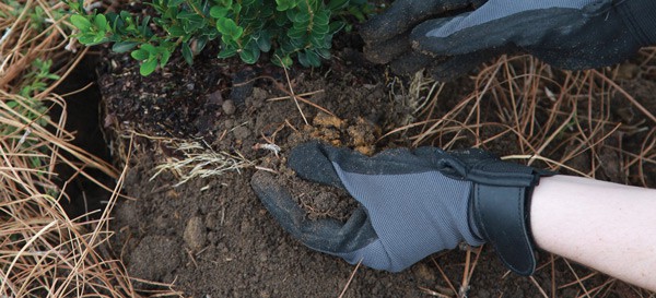 2 Provide Adequate Drainage