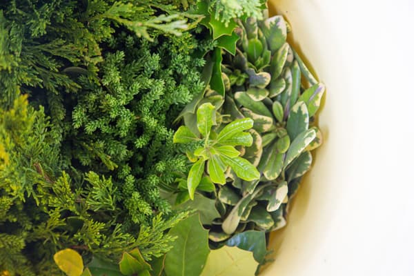 2 SLPC Project Wreath Deck the Halls Holiday How to 20171201 X21A7529 600x400