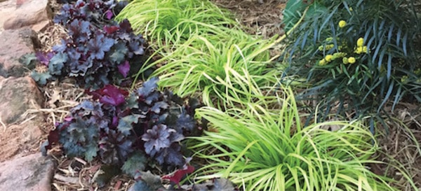 5 Dynamic Chartreuse 2