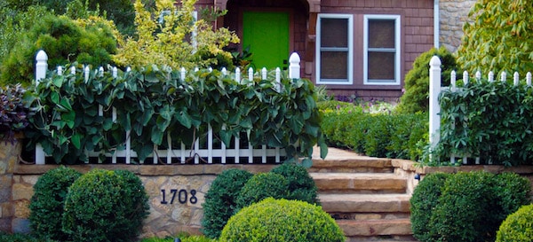 5 Tips to Extend Entry Garden 2 Sidewalk Connections 2