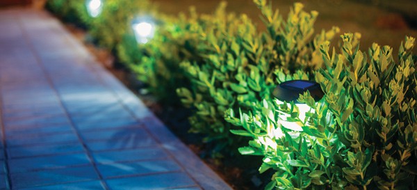 5 Tips to Extend Entry Garden 5 Night Lighting