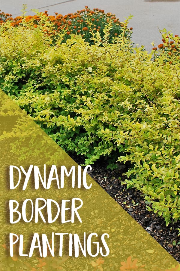 Dynamic Border Plantings brochure