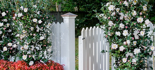 5 Southern Stunners Site Selection