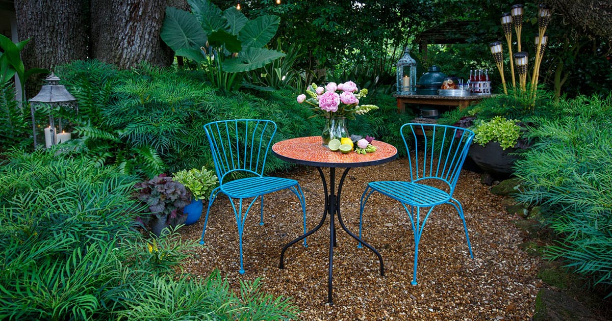 2 blue metal scroll chairs with matching table in a garden of Soft Caress Mahonia