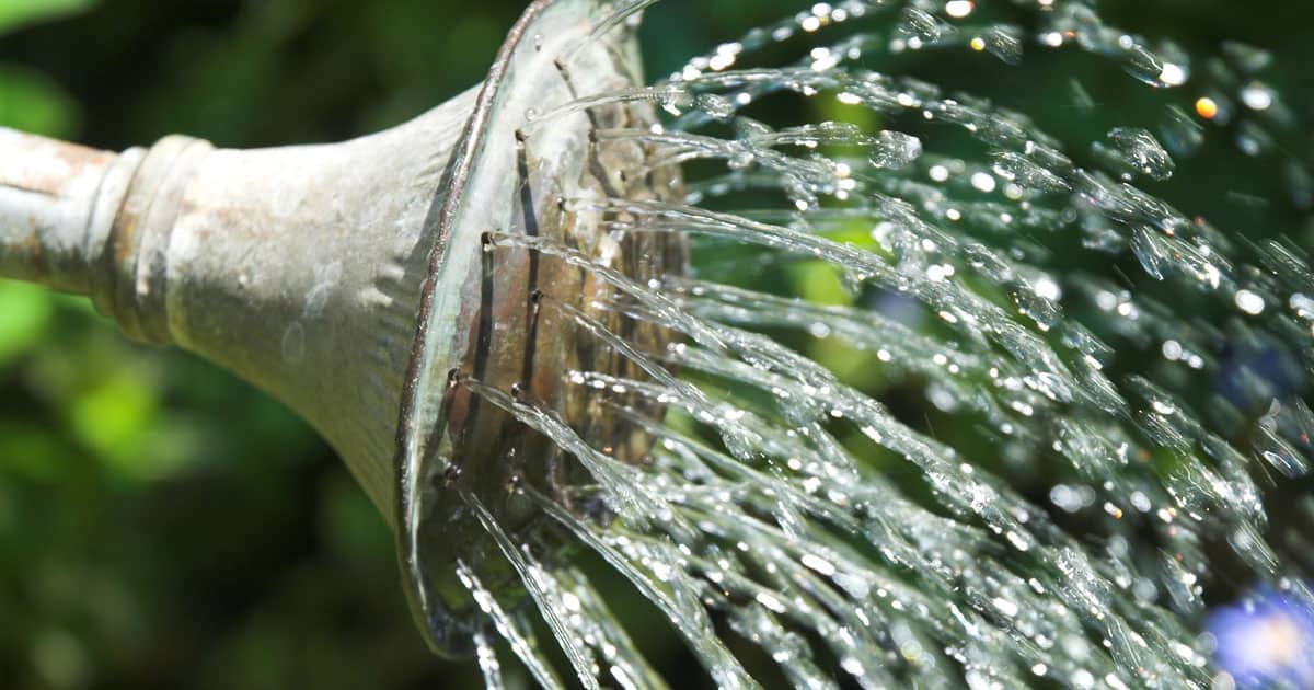 5 Ways to Protect Your Garden This Winter 1200x630 3