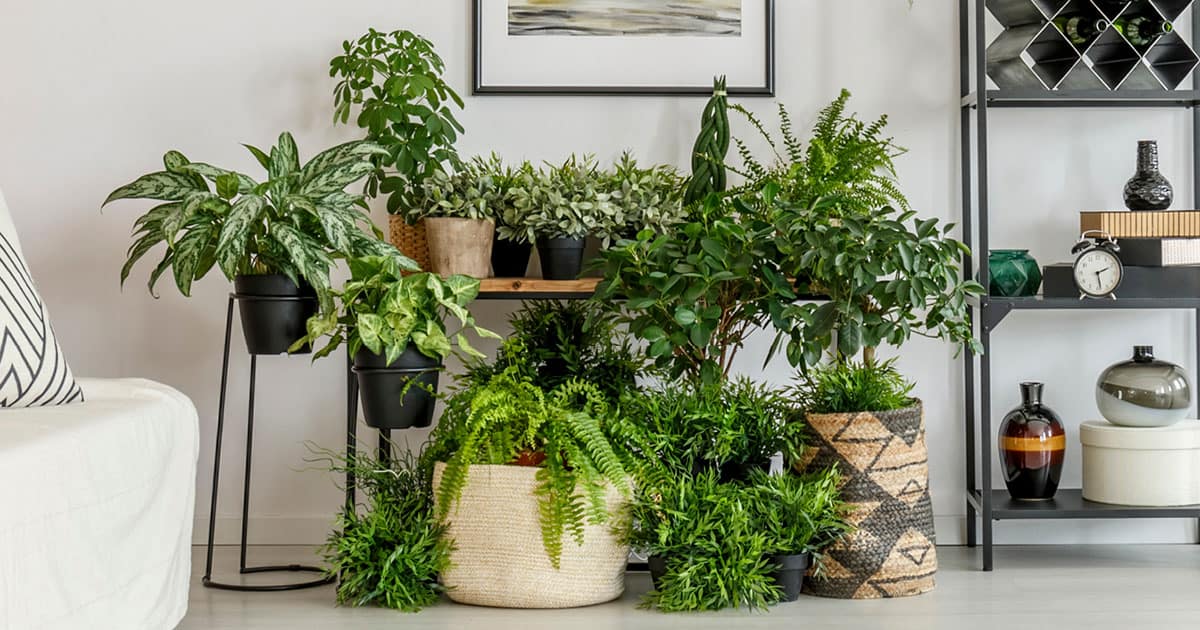 5 Ways to Protect Your Garden This Winter 1200x630 5