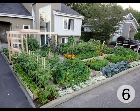 front yard raised bed vegetable garden