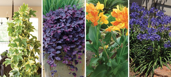 82f75322 7e34 11e8 8630 a0369f35eed4