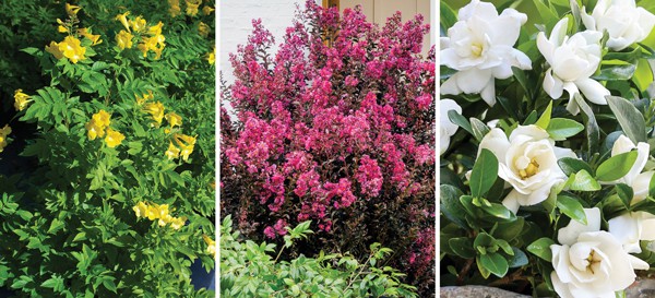 82f876c6 7e34 11e8 8874 a0369f35eed4