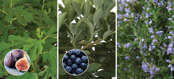 82faa8ce 7e34 11e8 8813 a0369f35eed4