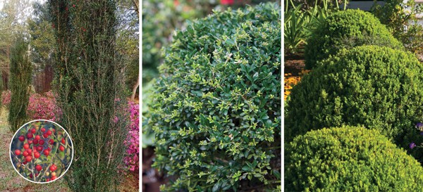 835c3c92 7e34 11e8 9596 a0369f35eed4