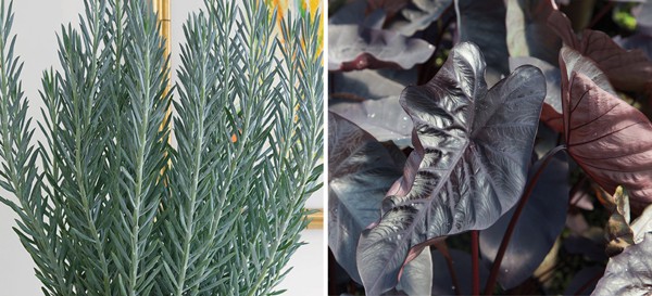 838fb220 7e34 11e8 8d12 a0369f35eed4