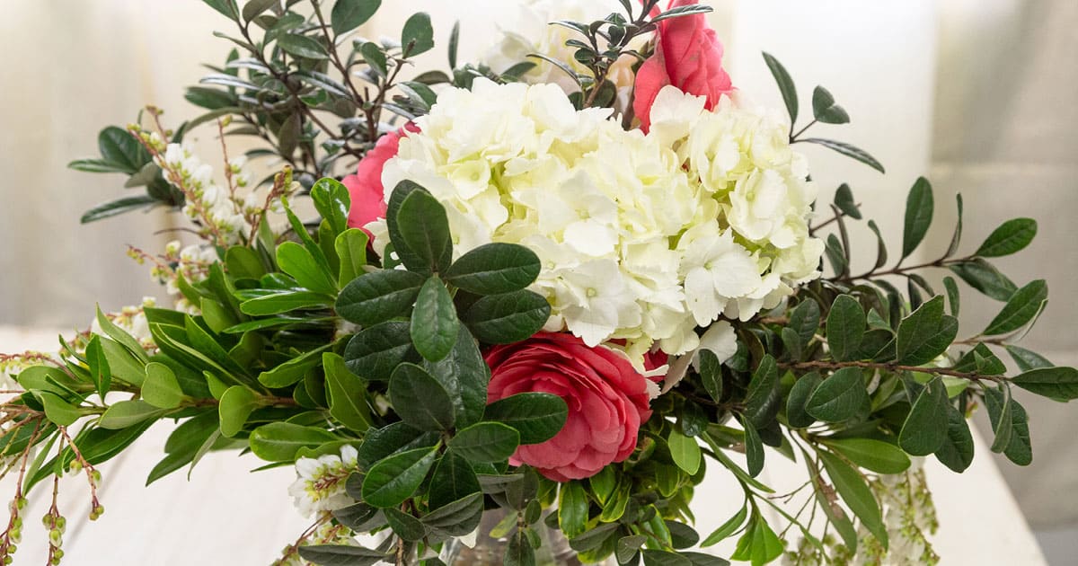 Pretty white, pink and green including Hydrangeas and Camellias