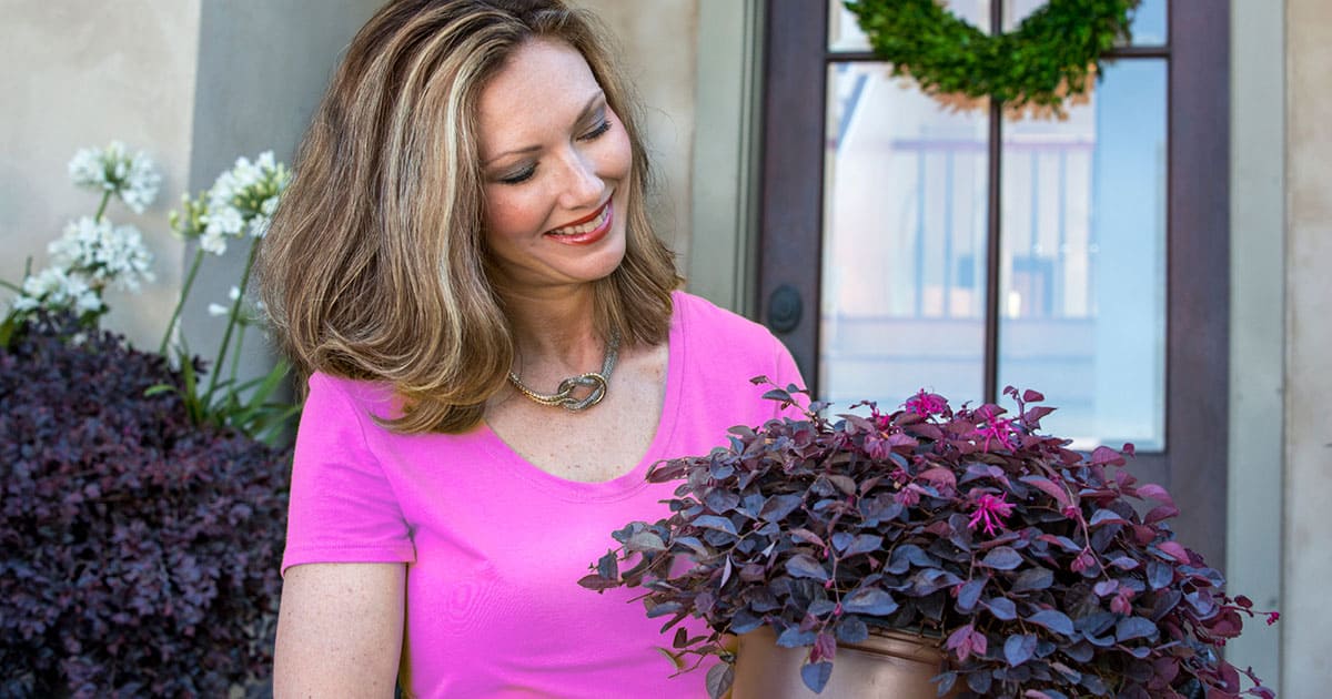 Woman in pink shirt holding Purple Daydream Loropetalum 2 gallon plant in brown plastic Southern Living Plant Collection pot