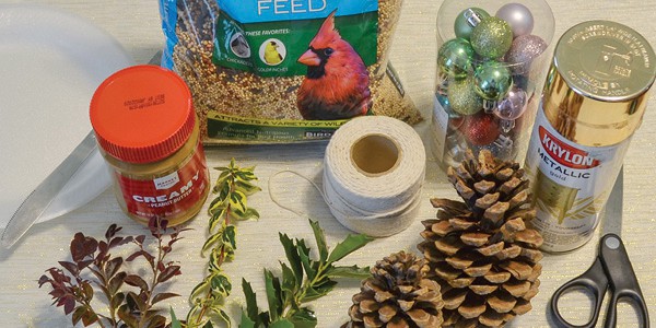 Bird Calling Friends 1