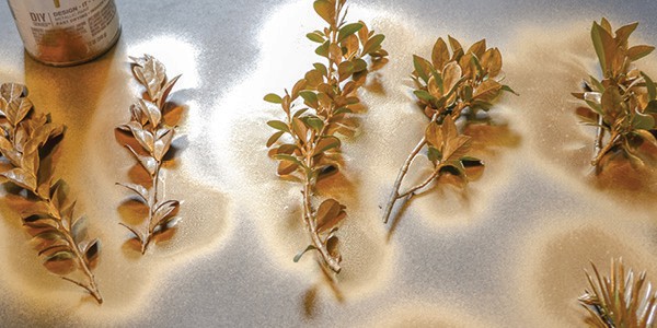 Bird Calling Friends 2