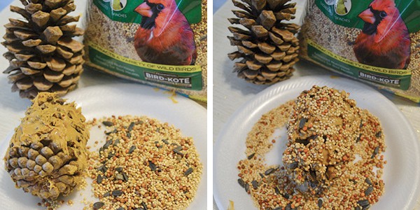 Bird Calling Friends 3