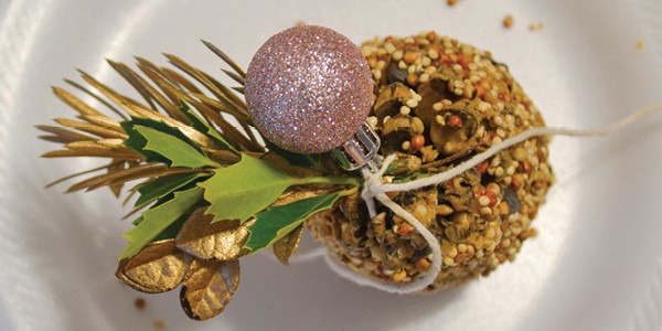 Bird Calling Friends 5