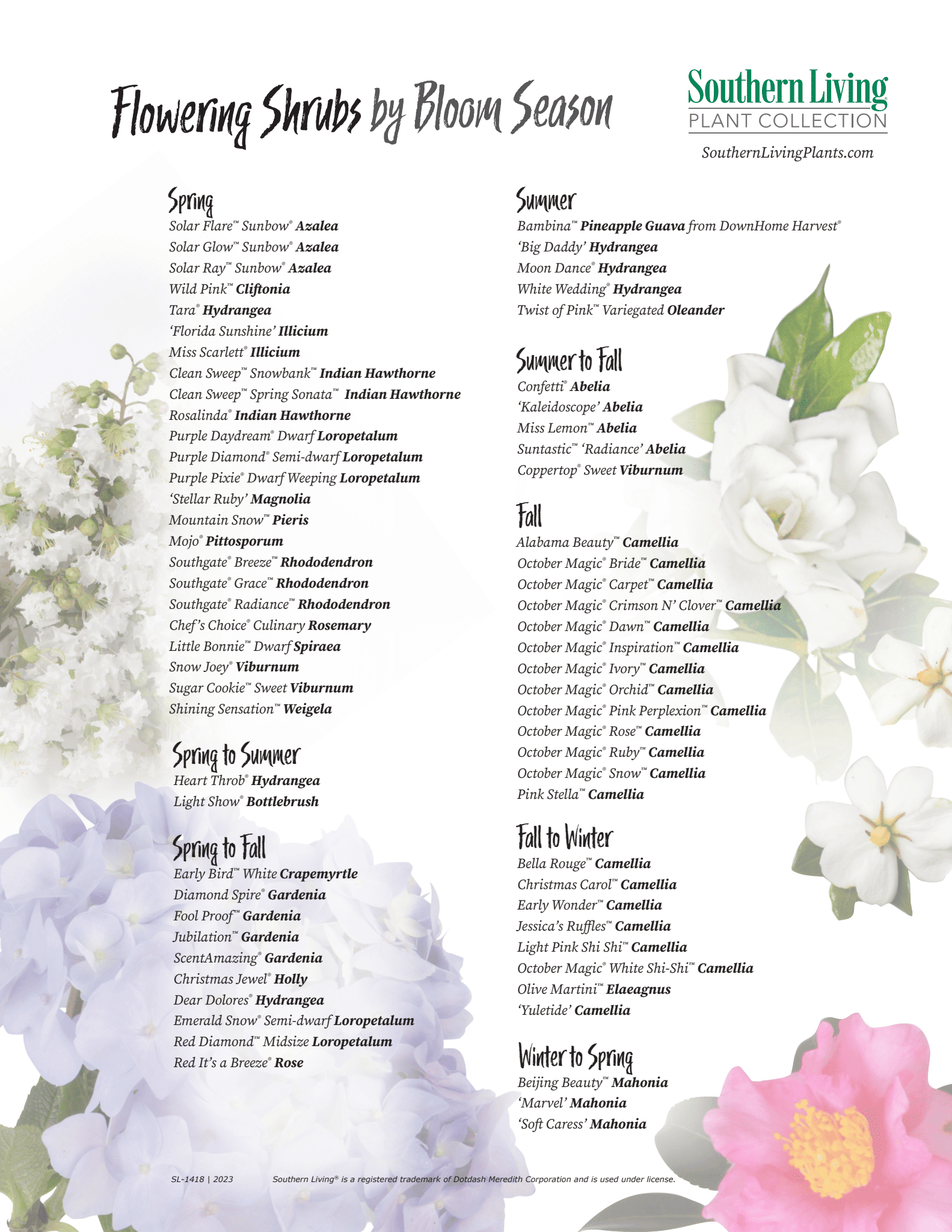 Blooming Shrub Guide