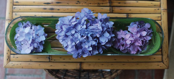 Bring the Beauty Indoors11