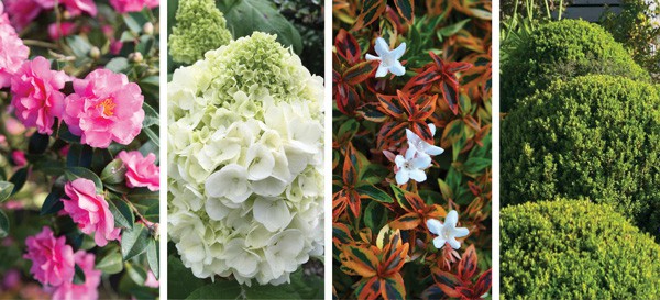 Color Calendar 2018 10 October