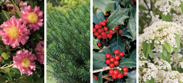 Color Calendar 2018 11 November