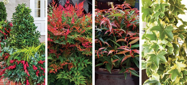 Color Calendar 2018 12 December