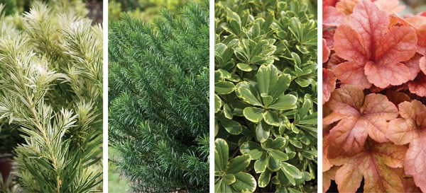 Color Calendar 2018 1 January