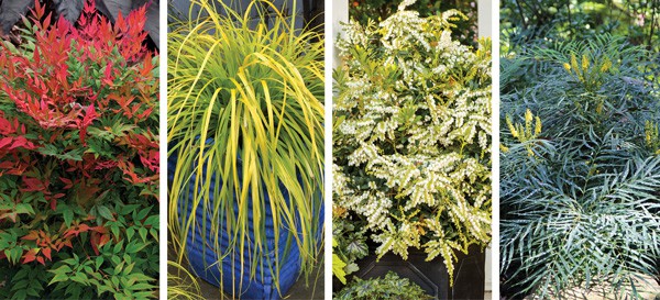 Color Calendar 2018 3 March