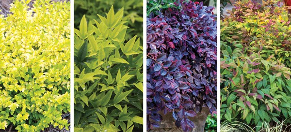 Color Calendar 2018 4 April