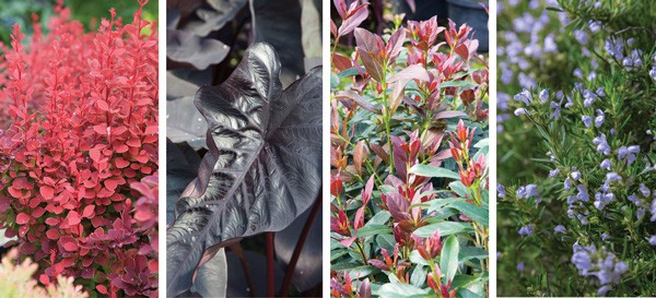 Color Calendar 2018 7 July