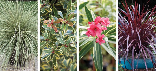 Color Calendar 2018 8 August