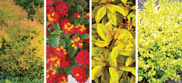 Color Calendar 2018 9 September