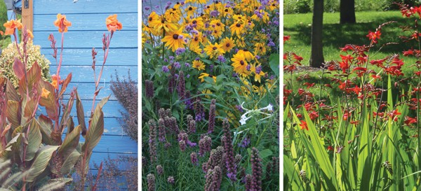 Complementary Colors Image