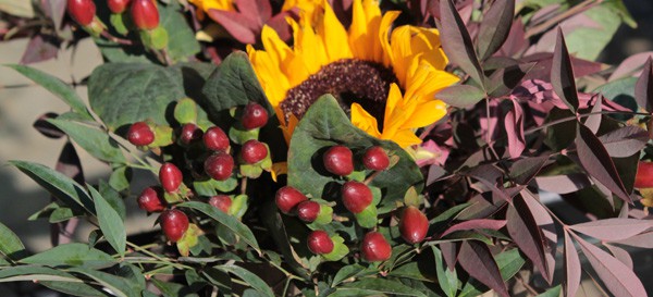 Container for Blog Nov 2013 IMG 2014