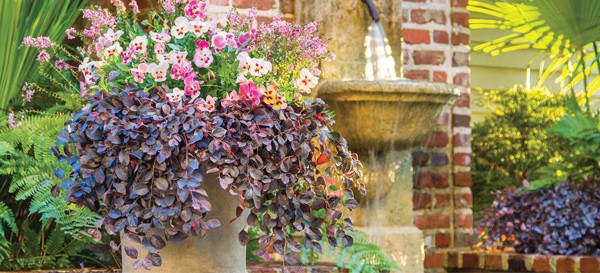 Containing the Situation 1