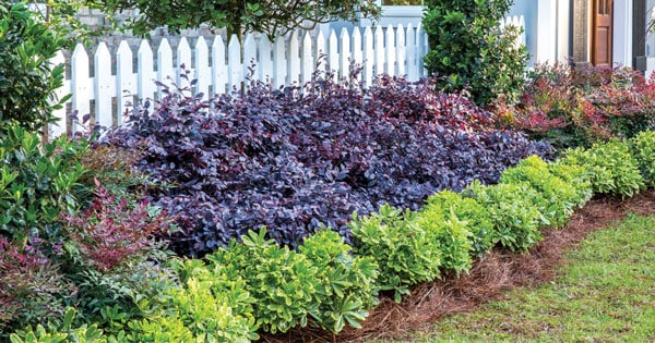 Create Big Garden Appeal 3