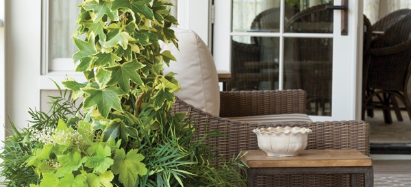 Creative Curb Appeal 1