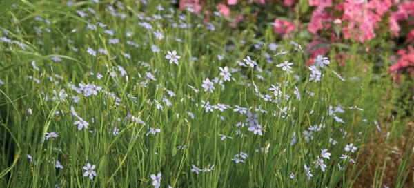 Creative Curb Appeal 4