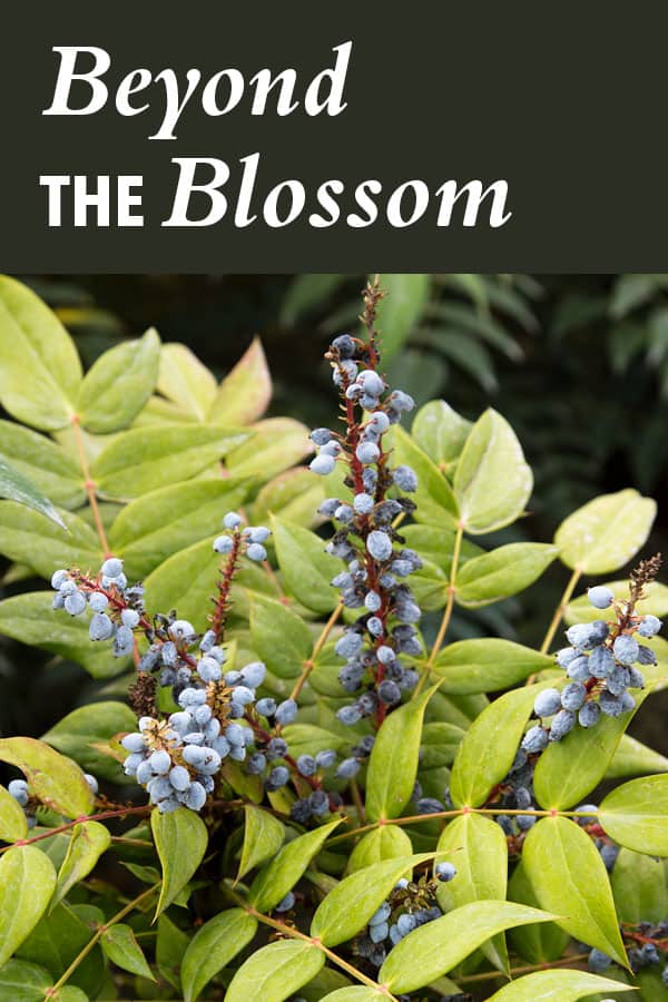 Designing For Year Long Color 600x900