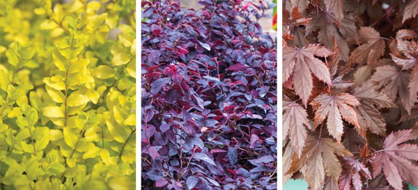 Eye Catching Combos 2