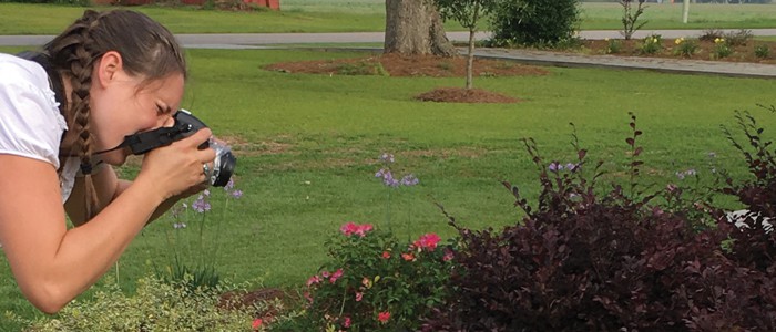 lady taking picture of plants